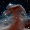 Horsehead Nebula Infrared View Poster Print by NASA - Item # VARPDX450034